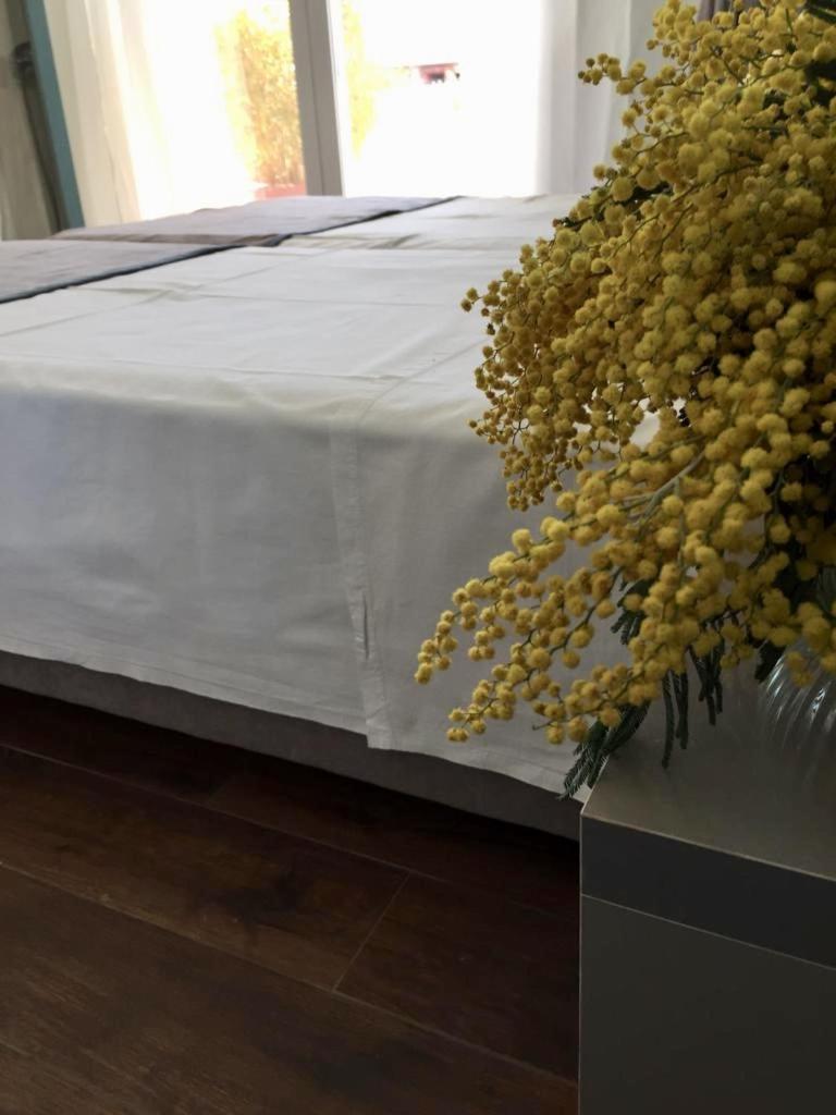 Amberyellowbnb Shkoder Exterior photo
